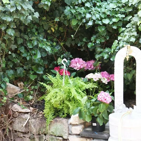 Apartment Il Giardino Di Casa Vacanze T6 *