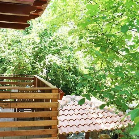 Il Giardino Di Casa Vacanze T6 Aritzo