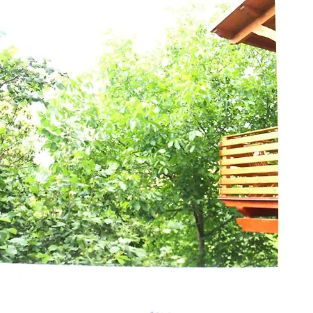 Apartment Il Giardino Di Casa Vacanze T6 Aritzo