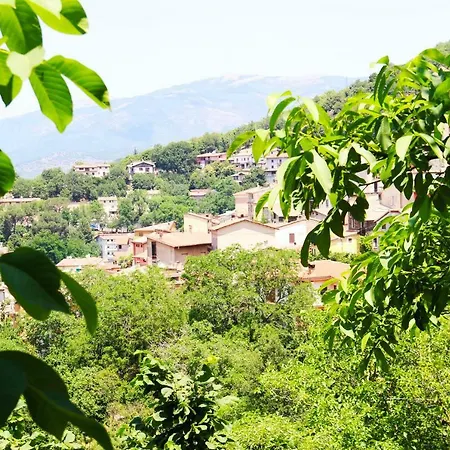 Il Giardino Di Casa Vacanze T6