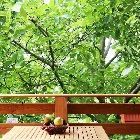 Il Giardino Di Casa Vacanze T6 Apartment Aritzo