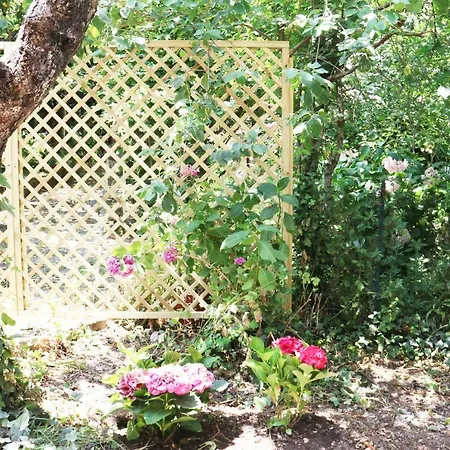 Apartment Il Giardino Di Casa Vacanze T6 Aritzo