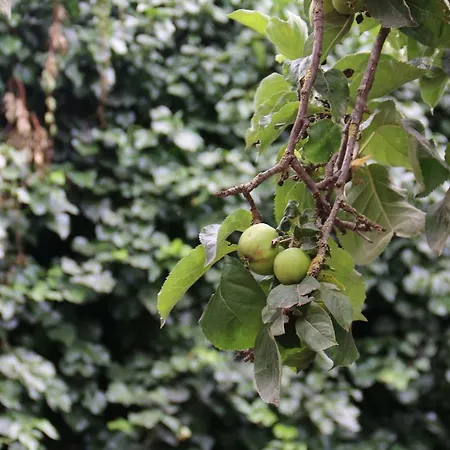 Il Giardino Di Casa Vacanze T6 *