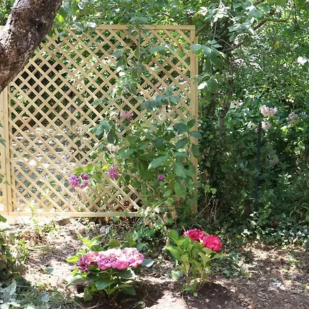 Il Giardino Di Casa Vacanze T6 Apartment *